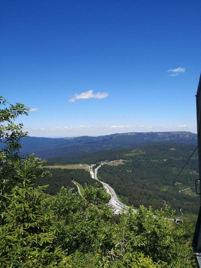 Idyllisch Gelegene Ferienwohnung Im Herzen Des Bayerischen Waldes Zachenberg Exteriér fotografie